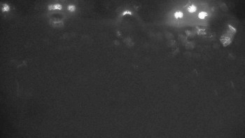 Ski klub RD Rýmařov