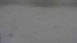 Ski klub RD Rýmařov - Areál ski klubu - 6.2.2026 v 08:00