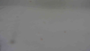 Ski klub RD Rýmařov - Areál ski klubu - 6.2.2026 v 08:30