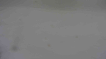 Ski klub RD Rýmařov