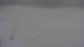 Ski klub RD Rýmařov