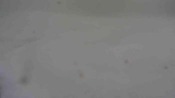 Ski klub RD Rýmařov