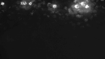 Ski klub RD Rýmařov