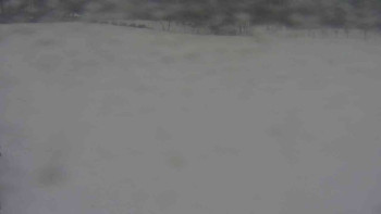 Ski klub RD Rýmařov