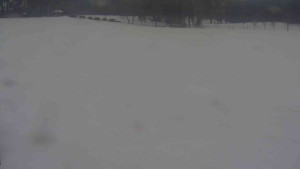 Ski klub RD Rýmařov - Areál ski klubu - 21.2.2026 v 08:00