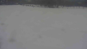 Ski klub RD Rýmařov - Areál ski klubu - 21.2.2026 v 09:30