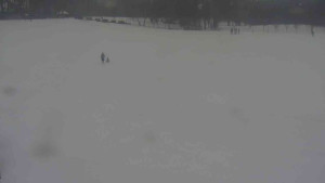 Ski klub RD Rýmařov - Areál ski klubu - 21.2.2026 v 10:30