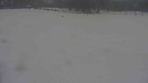 Ski klub RD Rýmařov - Areál ski klubu - 21.2.2026 v 14:30