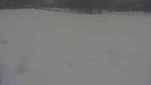 Ski klub RD Rýmařov - Areál ski klubu - 21.2.2026 v 15:00