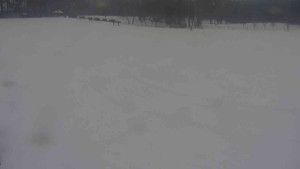 Ski klub RD Rýmařov - Areál ski klubu - 21.2.2026 v 15:30