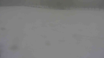 Ski klub RD Rýmařov