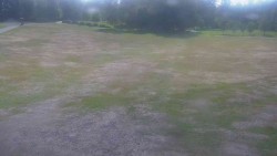 Ski club area