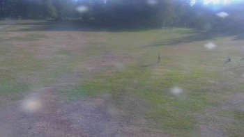 Ski klub RD Rýmařov