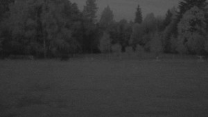 Ski klub RD Rýmařov - Areál ski klubu - 9.5.2025 v 04:30