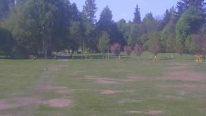Ski klub RD Rýmařov - Areál ski klubu - 9.5.2025 v 09:30