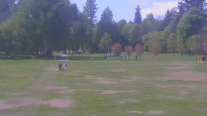Ski klub RD Rýmařov - Areál ski klubu - 9.5.2025 v 11:00