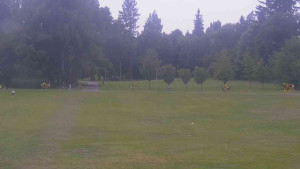 Ski klub RD Rýmařov - Areál ski klubu - 23.6.2025 v 11:30