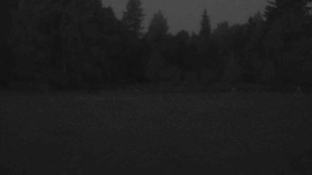 Snímek    6.7.2025 v 04:00