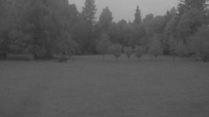 Ski klub RD Rýmařov - Areál ski klubu - 12.7.2025 v 04:30