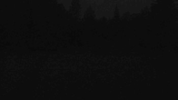 Snímek    16.7.2025 v 04:00