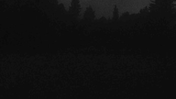Snímek    14.9.2025 v 06:00