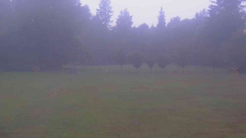Snímek    14.9.2025 v 07:30