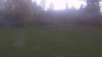 Snímek    29.10.2025 v 13:00