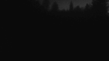 Snímek    29.10.2025 v 17:30