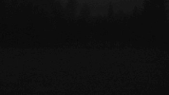 Snímek    1.11.2025 v 06:00