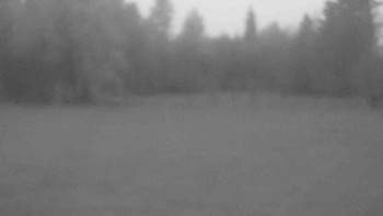 Snímek    3.11.2025 v 06:30