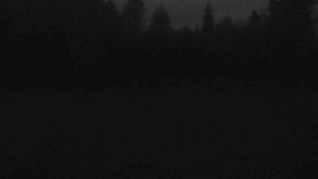 Snímek    4.11.2025 v 06:00