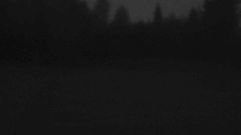 Snímek 6.11.2025 v 06:00