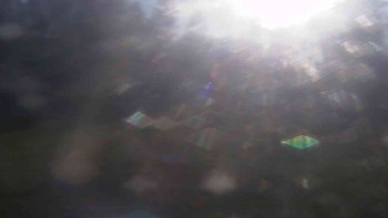 Snímek 7.11.2025 v 14:30