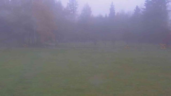 Snímek 9.11.2025 v 09:00