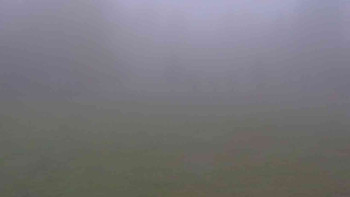 Snímek    9.11.2025 v 09:30