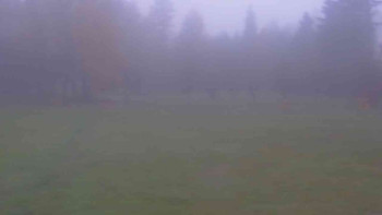 Snímek 9.11.2025 v 10:30