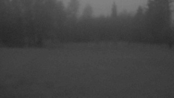 Snímek 15.11.2025 v 16:30