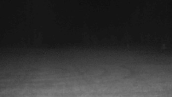 Snímek 18.11.2025 v 17:30