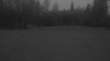 Snímek    21.11.2025 v 16:30