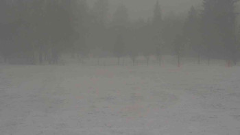 Snímek    24.11.2025 v 08:00