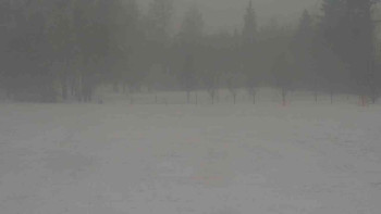 Snímek    24.11.2025 v 08:30