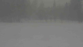 Snímek    24.11.2025 v 09:00