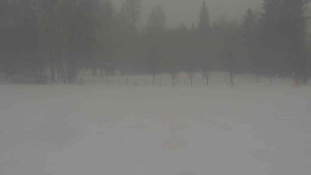 Snímek    24.11.2025 v 09:30