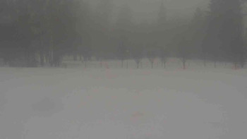 Ski klub RD Rýmařov