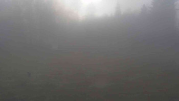 Ski klub RD Rýmařov