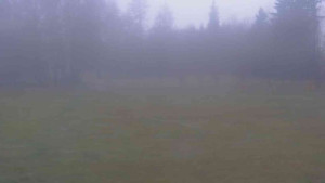 Ski klub RD Rýmařov - Areál ski klubu - 13.12.2025 v 13:30 Ski klub RD Rýmařov - Areál ski klubu - 13.12.2025 v 13:30