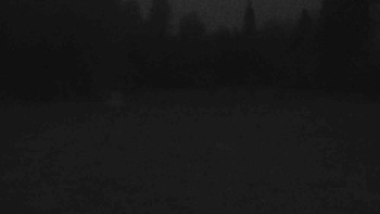 Ski klub RD Rýmařov