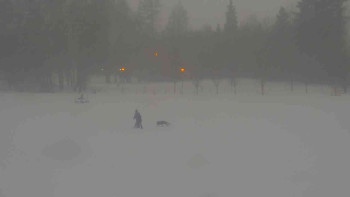 Ski klub RD Rýmařov