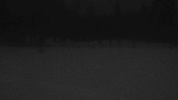 Ski klub RD Rýmařov