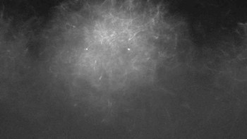 Ski klub RD Rýmařov